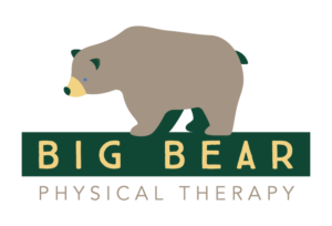 Big Bear Physical Therapy Logo of a bear on top of the words Big Bear