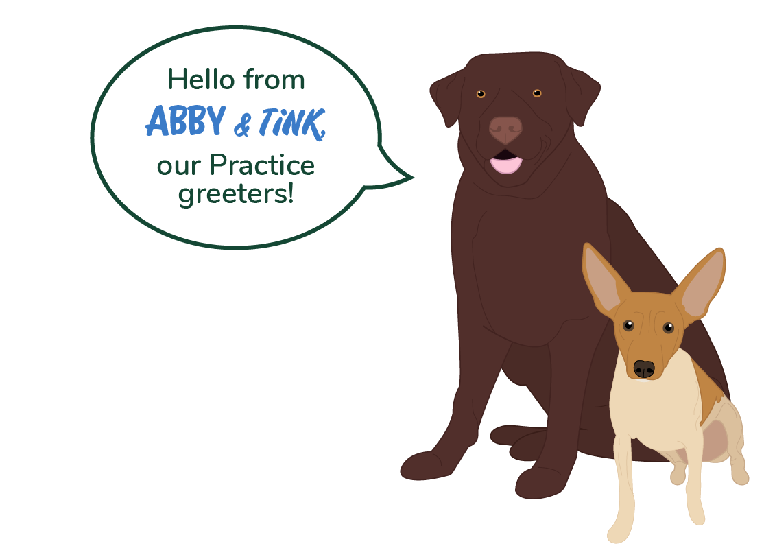 Abby and Tink our Practice dog greeters