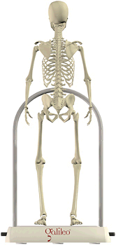 skeleton on Galileo device